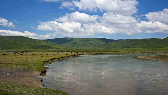 垃圾發(fā)電行業(yè)普遍擔(dān)憂補(bǔ)貼 “退坡”