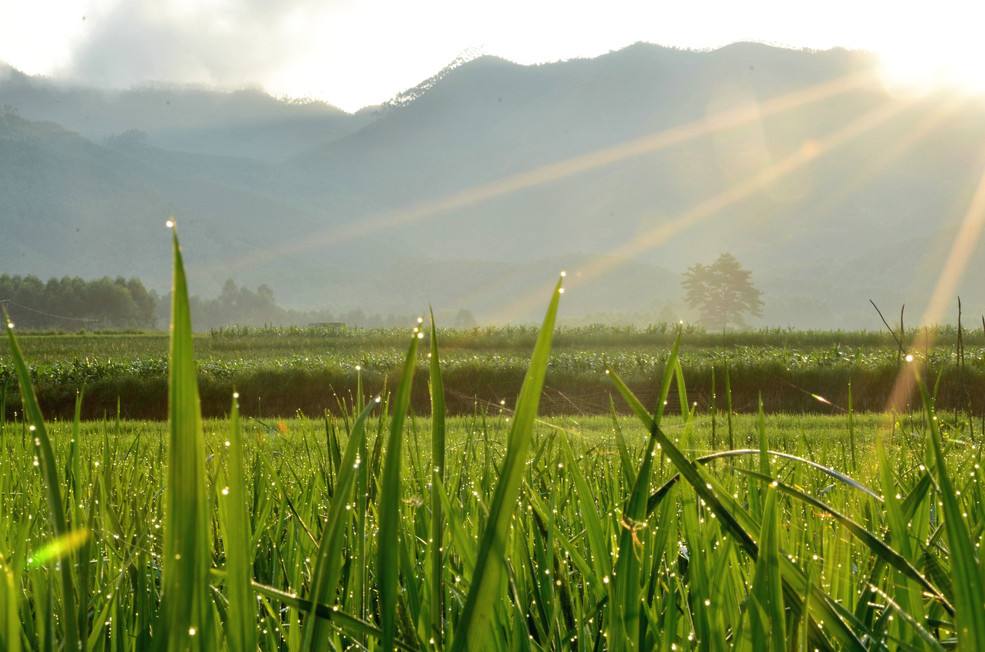 農(nóng)業(yè)氣象監(jiān)測系統(tǒng)組成部分有哪些？