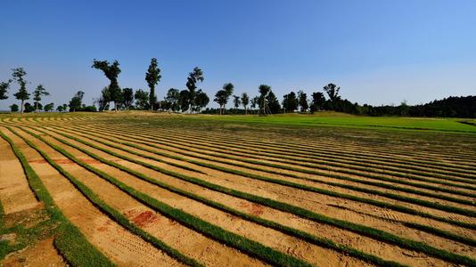 土壤墑情監(jiān)測站有哪些功能？